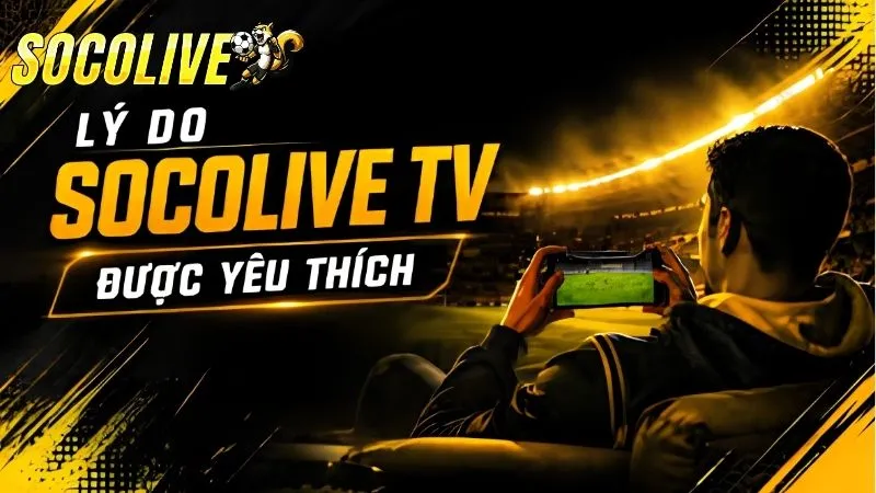 Hệ thống bảo mật và truyền dẫn an toàn SocoLive