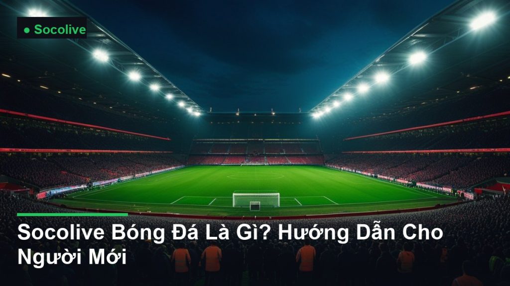 sân vận động bóng đá về đêm dưới ánh đèn pha - Socolive Bóng Đá Là Gì? Hướng Dẫn Cho Người Mới